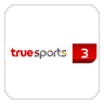 True Sports 3