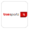 True Sports 4